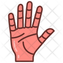 پیش‌نمایش فایل hand-9468388 از پک اجزای بدن انسان و اندام‌ها