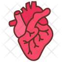 پیش‌نمایش فایل heart-9468399 از پک اجزای بدن انسان و اندام‌ها
