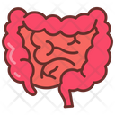 پیش‌نمایش فایل large-intestine-9468409 از پک اجزای بدن انسان و اندام‌ها