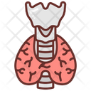 پیش‌نمایش فایل thyroid-9468417 از پک اجزای بدن انسان و اندام‌ها