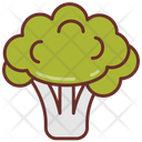 پیش‌نمایش فایل cauliflower-9471783 از پک خواربارفروشی