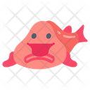 پیش‌نمایش فایل blobfish-9983418 از پک اقیانوس