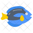 پیش‌نمایش فایل blue-tang-9983409 از پک اقیانوس