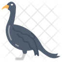 پیش‌نمایش فایل cormorant-9983450 از پک اقیانوس