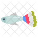 پیش‌نمایش فایل guppy-9983406 از پک اقیانوس