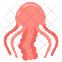 پیش‌نمایش فایل jellyfish-9983368 از پک اقیانوس