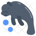 پیش‌نمایش فایل manatee-9983442 از پک اقیانوس