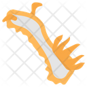 پیش‌نمایش فایل nudibranch-9983443 از پک اقیانوس