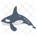 پیش‌نمایش فایل orca-whale-9983430 از پک اقیانوس