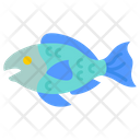پیش‌نمایش فایل parrot-fish-9983445 از پک اقیانوس