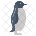 پیش‌نمایش فایل penguin-9983446 از پک اقیانوس