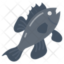 پیش‌نمایش فایل sea-bass-9983426 از پک اقیانوس