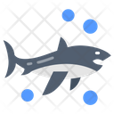 پیش‌نمایش فایل shark-9983381 از پک اقیانوس