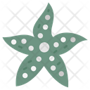 پیش‌نمایش فایل star-fish-9983361 از پک اقیانوس
