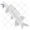 پیش‌نمایش فایل sturgeon-9983437 از پک اقیانوس