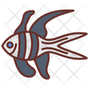 پیش‌نمایش فایل banggai-cardinal-9983508 از پک اقیانوس