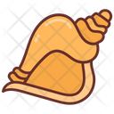 پیش‌نمایش فایل conch-shell-9983458 از پک اقیانوس