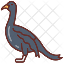 پیش‌نمایش فایل cormorant-9983550 از پک اقیانوس