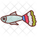 پیش‌نمایش فایل guppy-9983506 از پک اقیانوس
