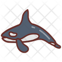 پیش‌نمایش فایل orca-whale-9983530 از پک اقیانوس