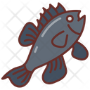 پیش‌نمایش فایل sea-bass-9983526 از پک اقیانوس