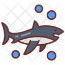 پیش‌نمایش فایل shark-9983481 از پک اقیانوس