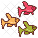 پیش‌نمایش فایل shoal-9983532 از پک اقیانوس