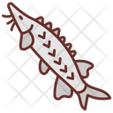 پیش‌نمایش فایل sturgeon-9983537 از پک اقیانوس