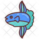 پیش‌نمایش فایل sunfish-9983548 از پک اقیانوس