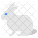 پیش‌نمایش فایل rabbit-9984044 از پک جادو