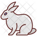 پیش‌نمایش فایل rabbit-9984149 از پک جادو