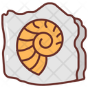 پیش‌نمایش فایل fossils-9985291 از پک موزه