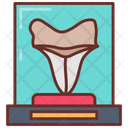 پیش‌نمایش فایل shark-teeth-9985341 از پک موزه