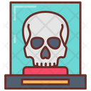 پیش‌نمایش فایل skull-9985301 از پک موزه