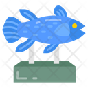 پیش‌نمایش فایل coelacanth-9985020 از پک موزه