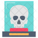 پیش‌نمایش فایل skull-9985056 از پک موزه