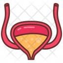 پیش‌نمایش فایل bladder-10340920 از پک اندام‌های داخلی بدن