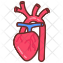 پیش‌نمایش فایل brachiocephalic-artery-10340885 از پک اندام‌های داخلی بدن