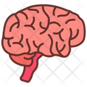 پیش‌نمایش فایل brain-10340914 از پک اندام‌های داخلی بدن