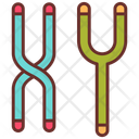 پیش‌نمایش فایل chromosome-10340976 از پک اندام‌های داخلی بدن