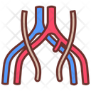 پیش‌نمایش فایل common-iliac-vein-10340880 از پک اندام‌های داخلی بدن