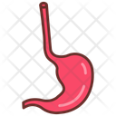 پیش‌نمایش فایل esophagus-10340961 از پک اندام‌های داخلی بدن