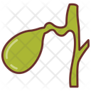 پیش‌نمایش فایل gallbladder-10340935 از پک اندام‌های داخلی بدن