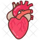 پیش‌نمایش فایل heart-10340924 از پک اندام‌های داخلی بدن