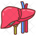 پیش‌نمایش فایل liver-10340925 از پک اندام‌های داخلی بدن