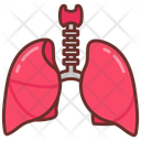 پیش‌نمایش فایل lungs-10340918 از پک اندام‌های داخلی بدن