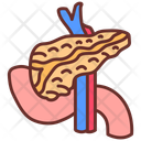 پیش‌نمایش فایل pancreas-10340934 از پک اندام‌های داخلی بدن