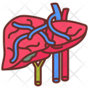 پیش‌نمایش فایل portal-vein-10340887 از پک اندام‌های داخلی بدن