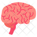 پیش‌نمایش فایل brain-10341022 از پک اندام‌های داخلی بدن