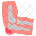 پیش‌نمایش فایل elbow-joints-10341048 از پک اندام‌های داخلی بدن